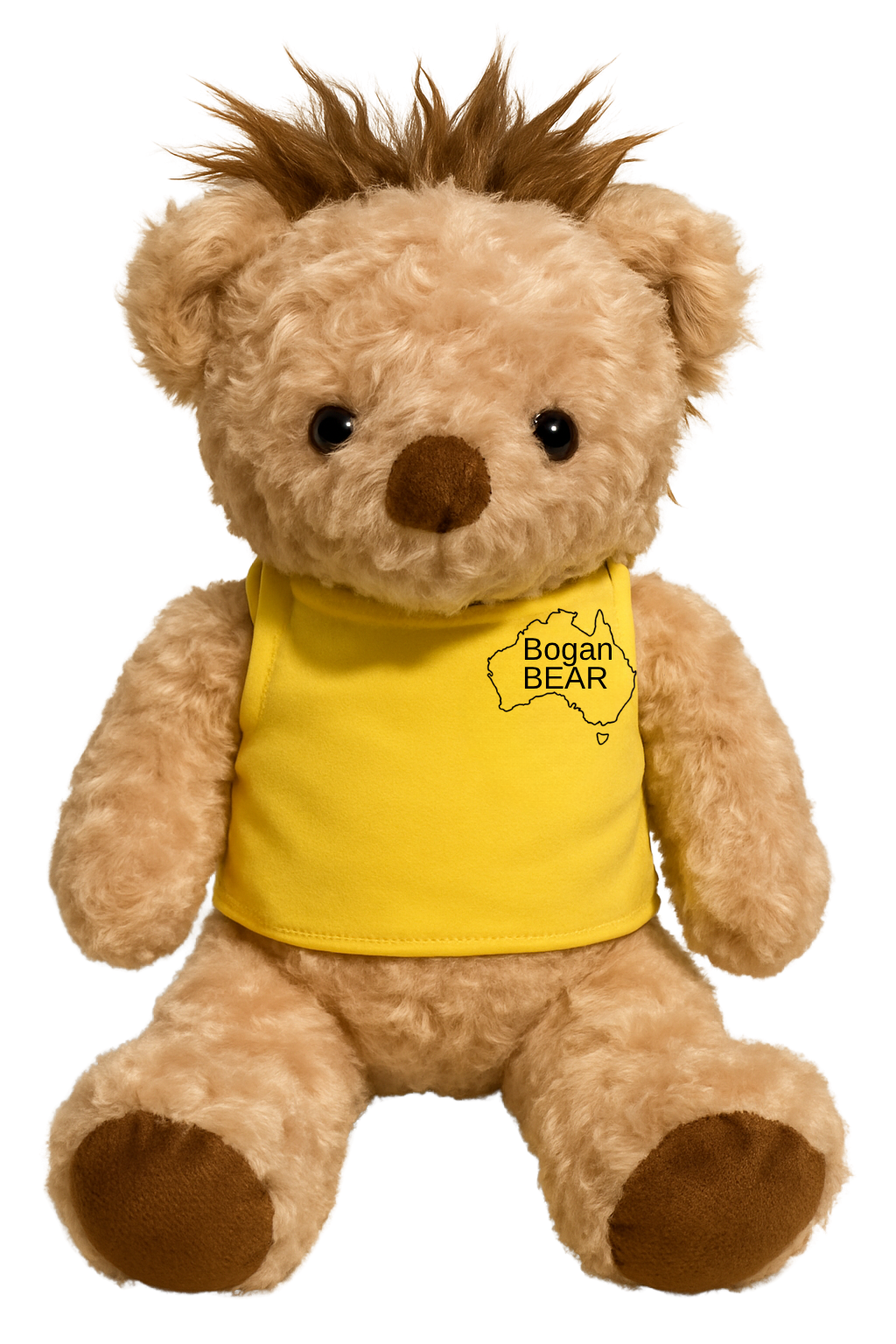Bogan Bear
